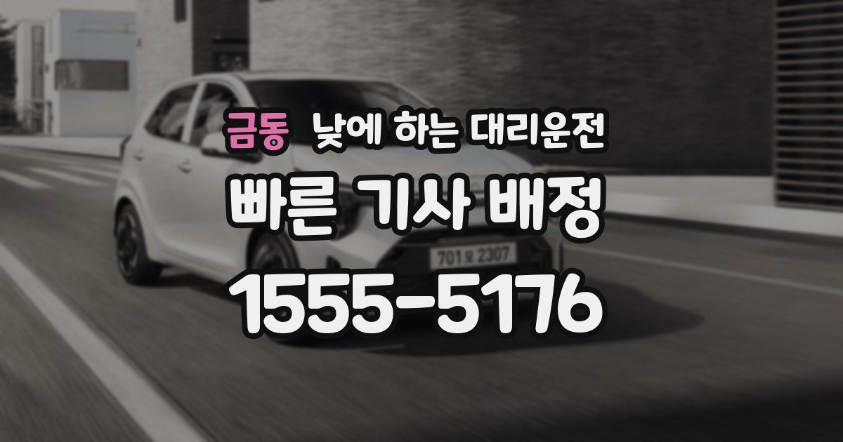 금동 낮에 하는 대리운전