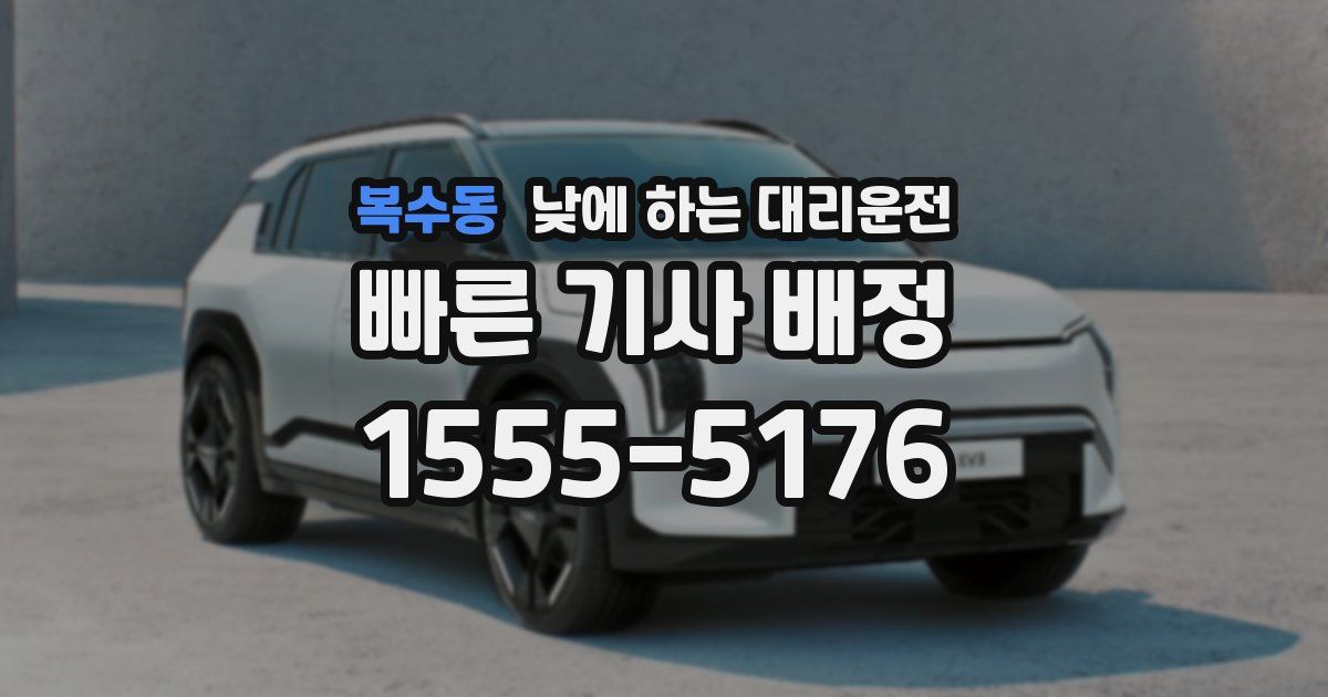 복수동 낮에 하는 대리운전