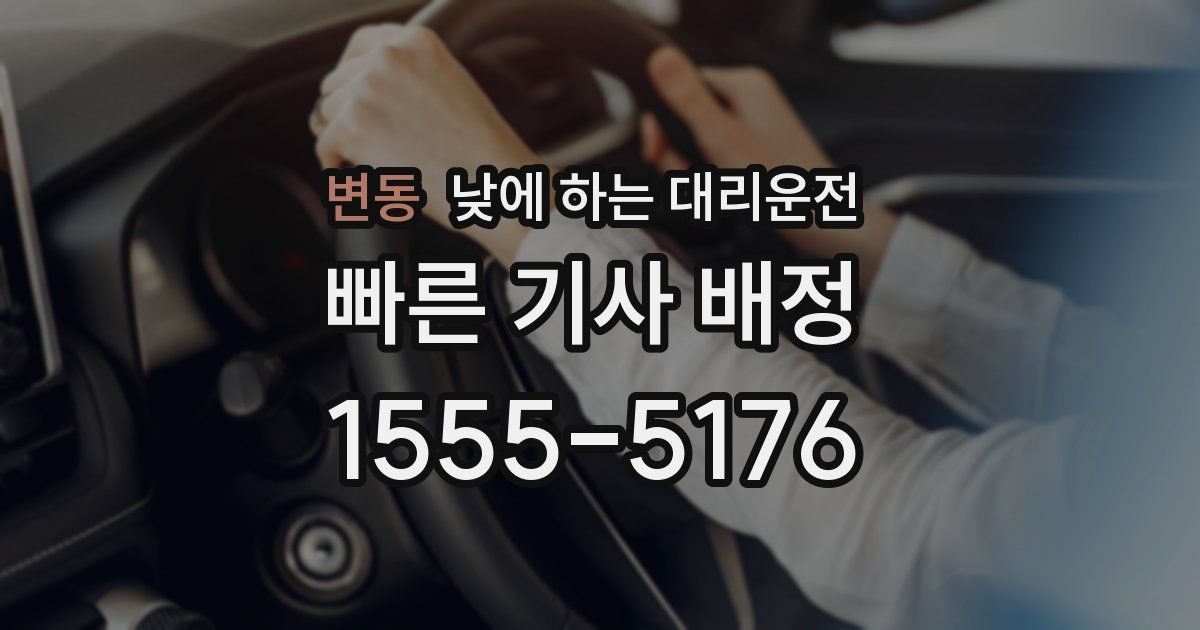 변동 낮에 하는 대리운전