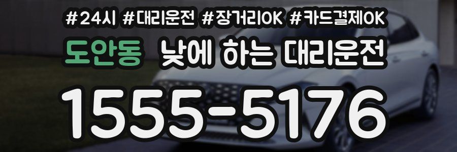 도안동 낮에 하는 대리운전