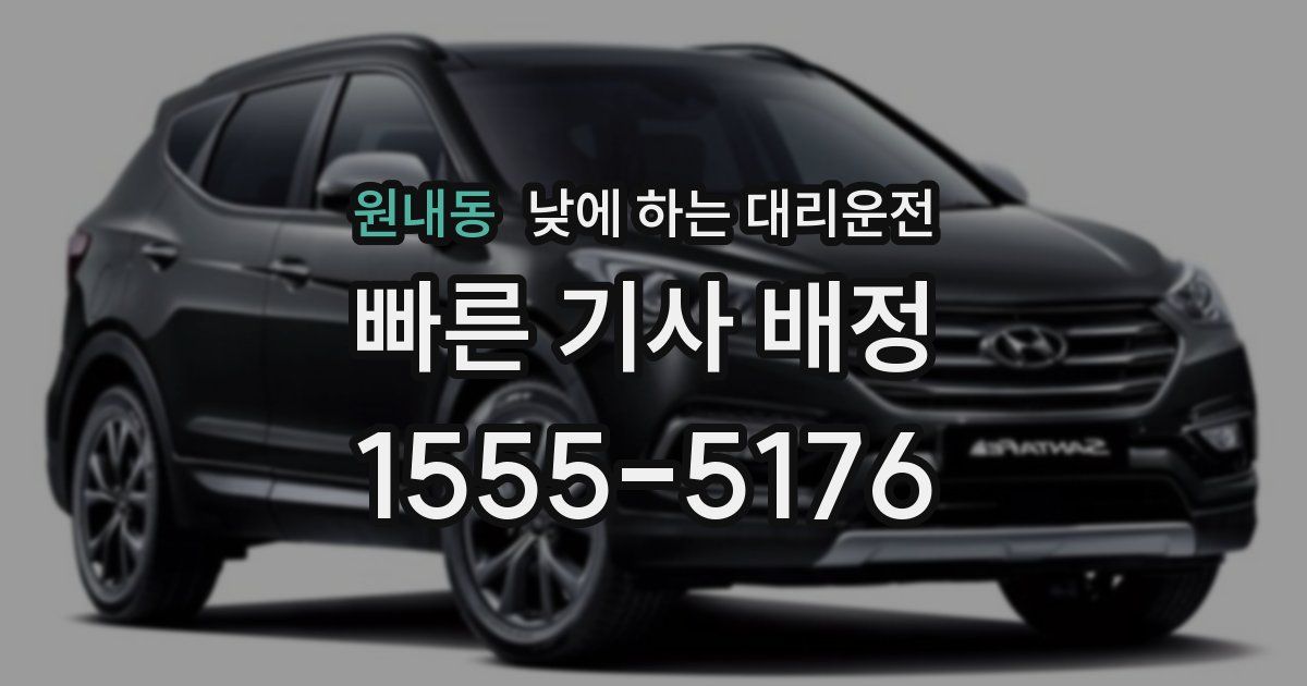 원내동 낮에 하는 대리운전