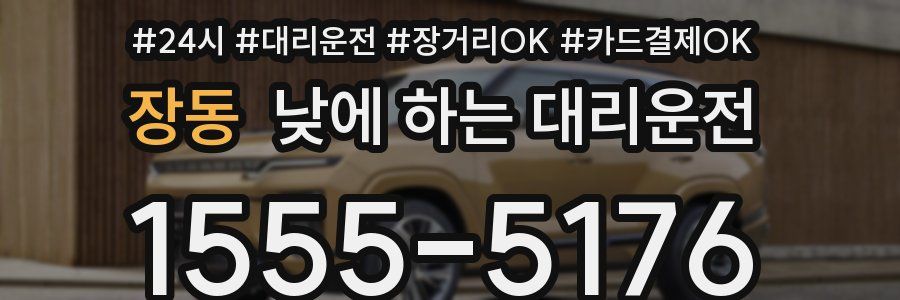 장동 낮에 하는 대리운전