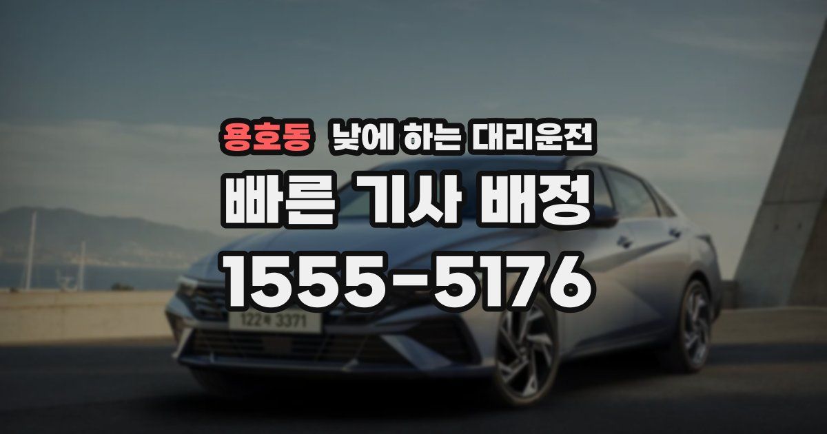 용호동 낮에 하는 대리운전