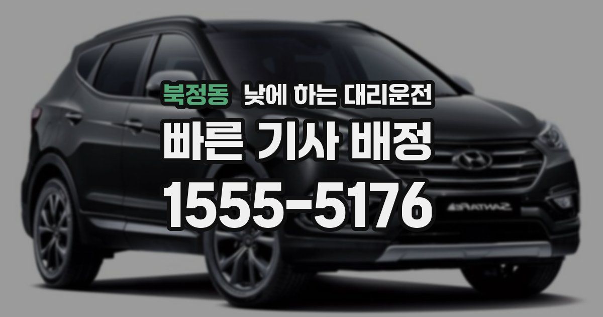 북정동 낮에 하는 대리운전