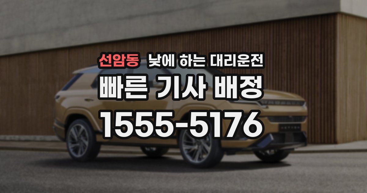 선암동 낮에 하는 대리운전