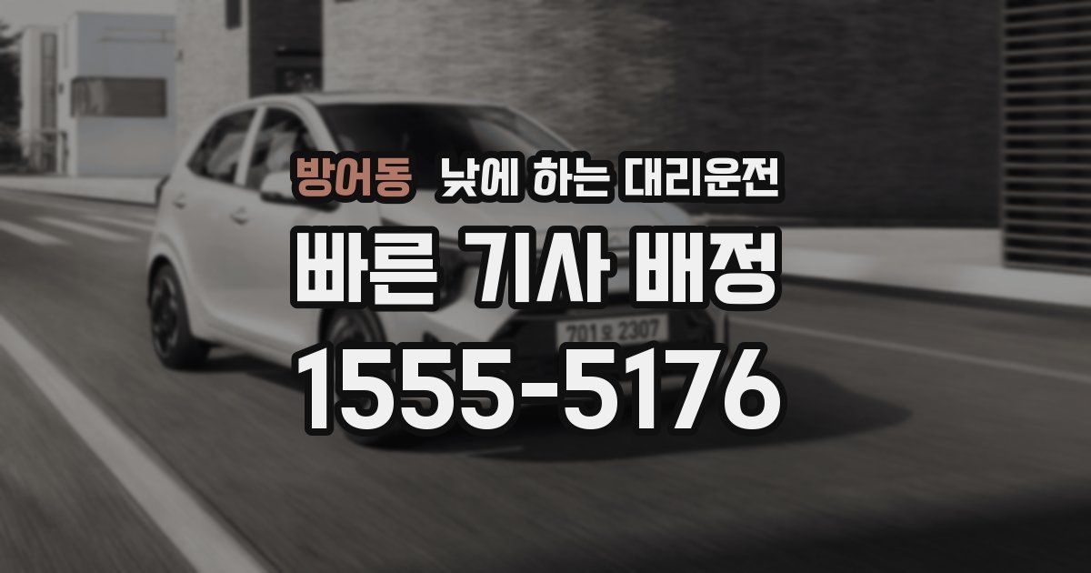 방어동 낮에 하는 대리운전