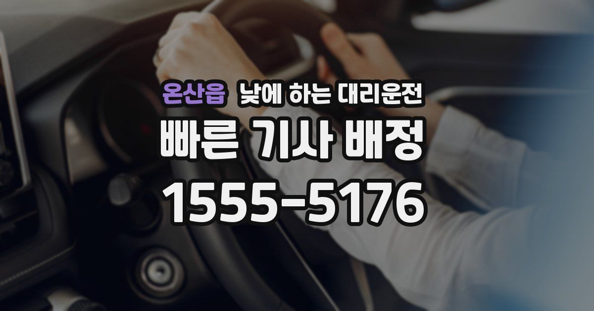 온산읍 낮에 하는 대리운전