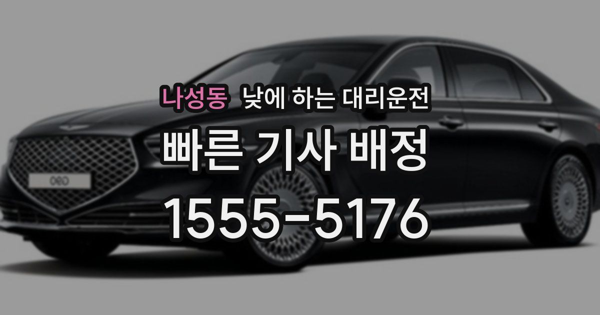 나성동 낮에 하는 대리운전