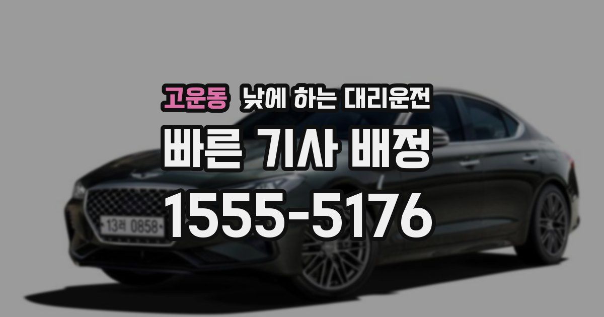 고운동 낮에 하는 대리운전