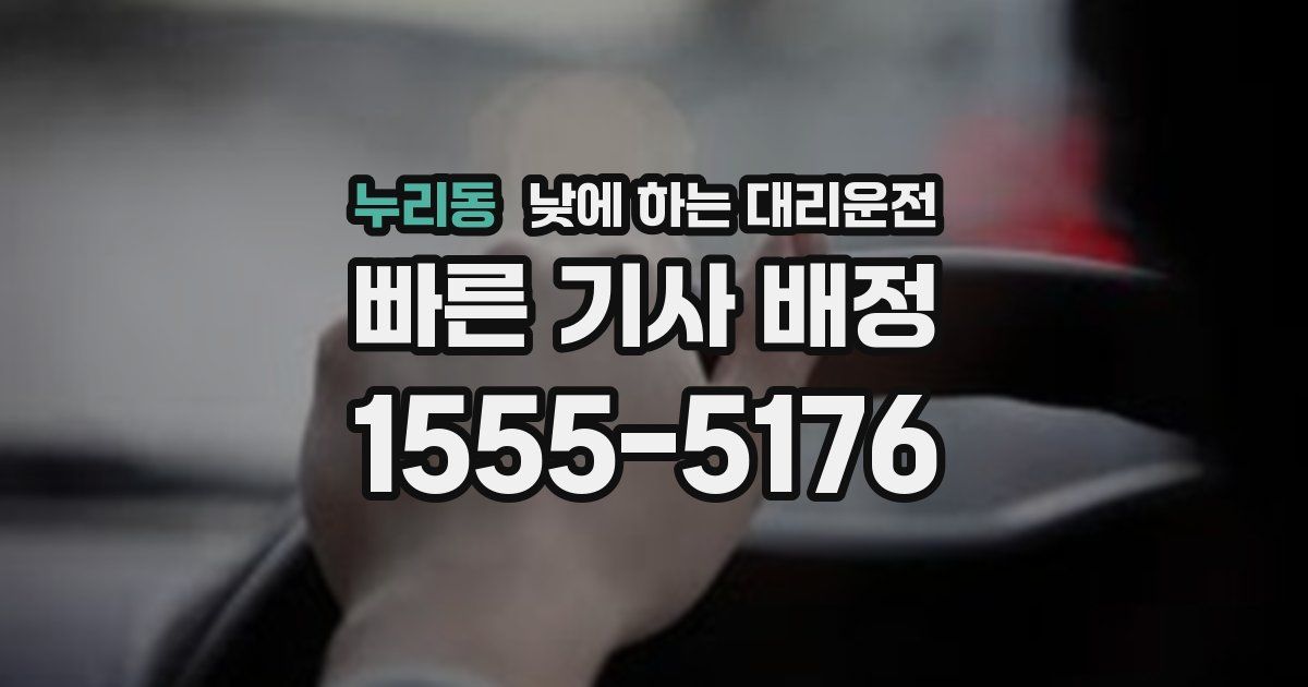 누리동 낮에 하는 대리운전