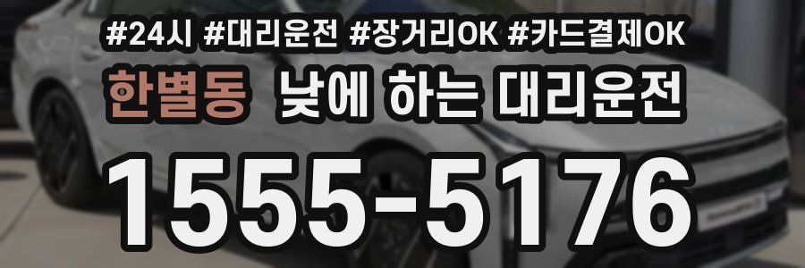 한별동 낮에 하는 대리운전