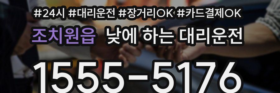 조치원읍 낮에 하는 대리운전