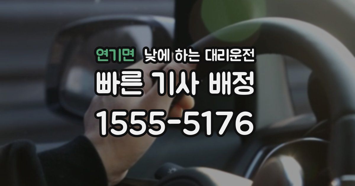 연기면 낮에 하는 대리운전