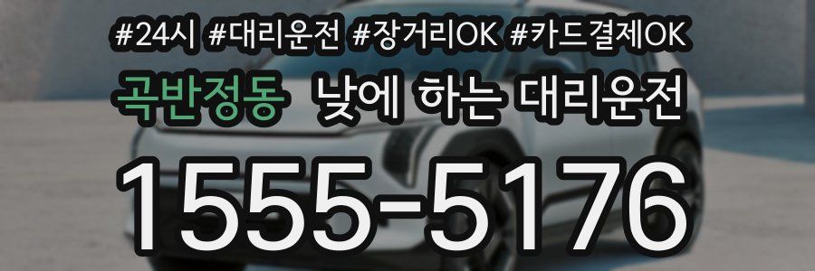 곡반정동 낮에 하는 대리운전