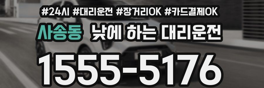 사송동 낮에 하는 대리운전