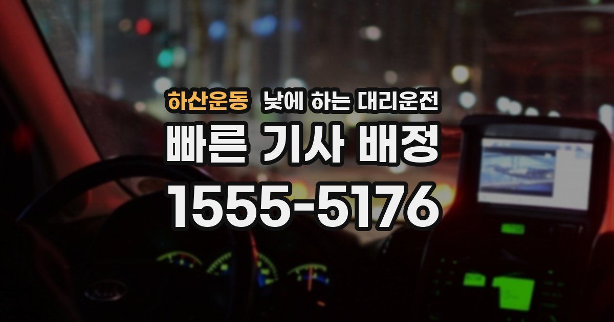 하산운동 낮에 하는 대리운전