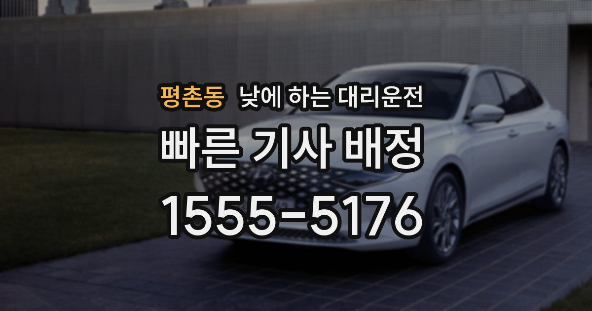 평촌동 낮에 하는 대리운전