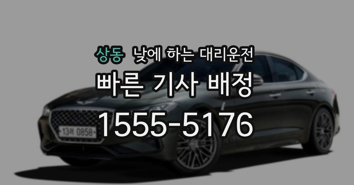 상동 낮에 하는 대리운전