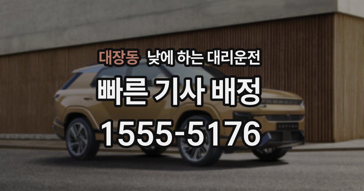 대장동 낮에 하는 대리운전