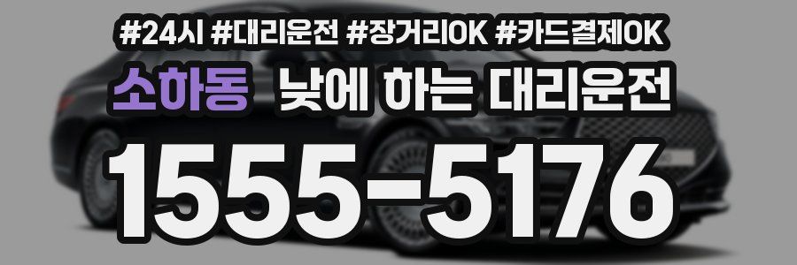 소하동 낮에 하는 대리운전