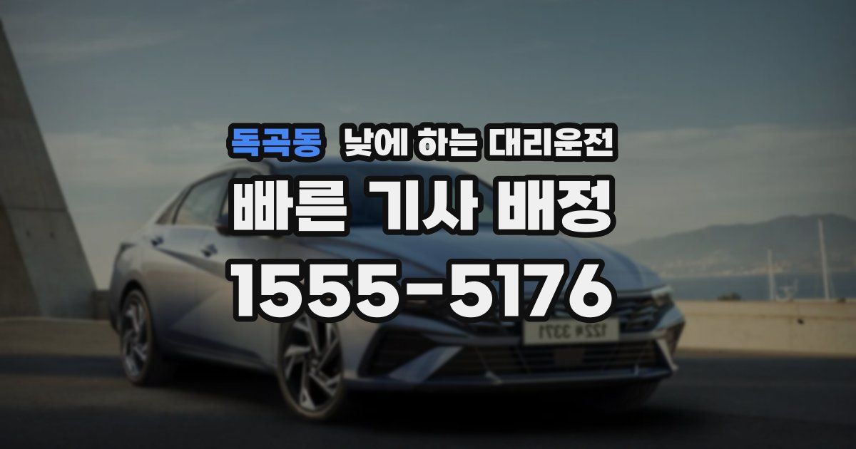 독곡동 낮에 하는 대리운전