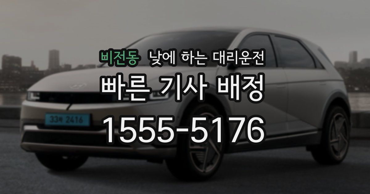 비전동 낮에 하는 대리운전