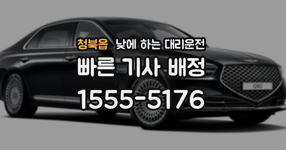 청북읍 낮에 하는 대리운전