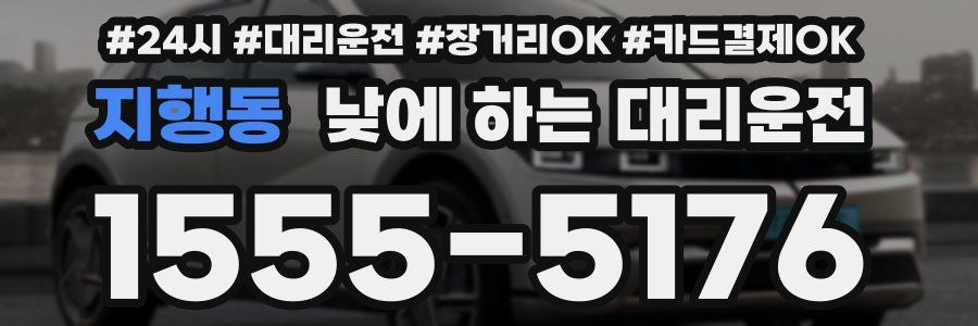 지행동 낮에 하는 대리운전