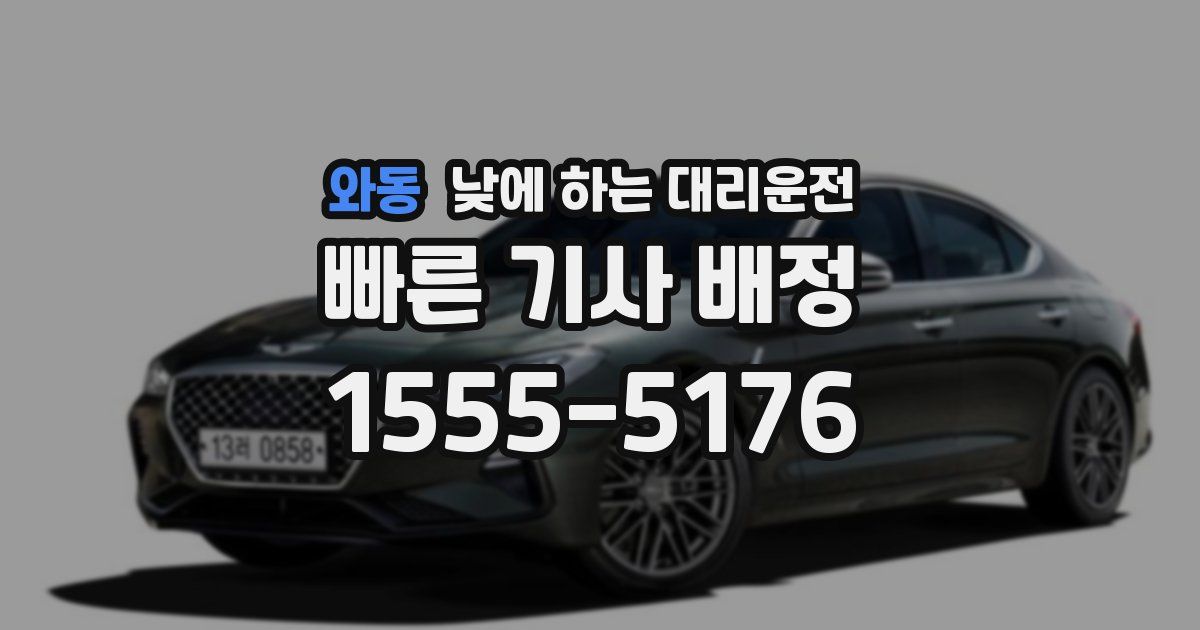 와동 낮에 하는 대리운전