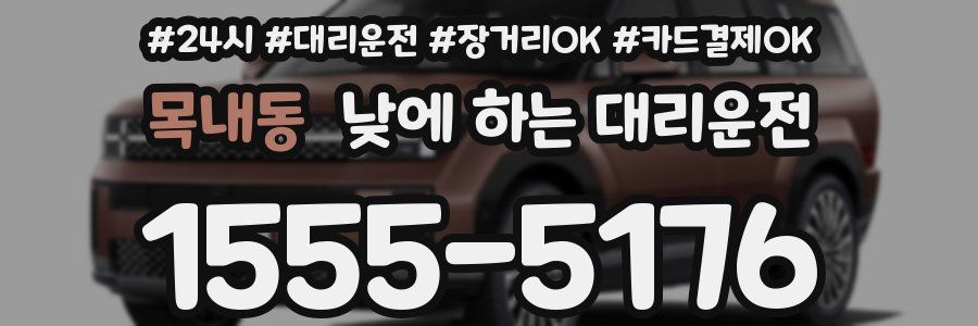 목내동 낮에 하는 대리운전