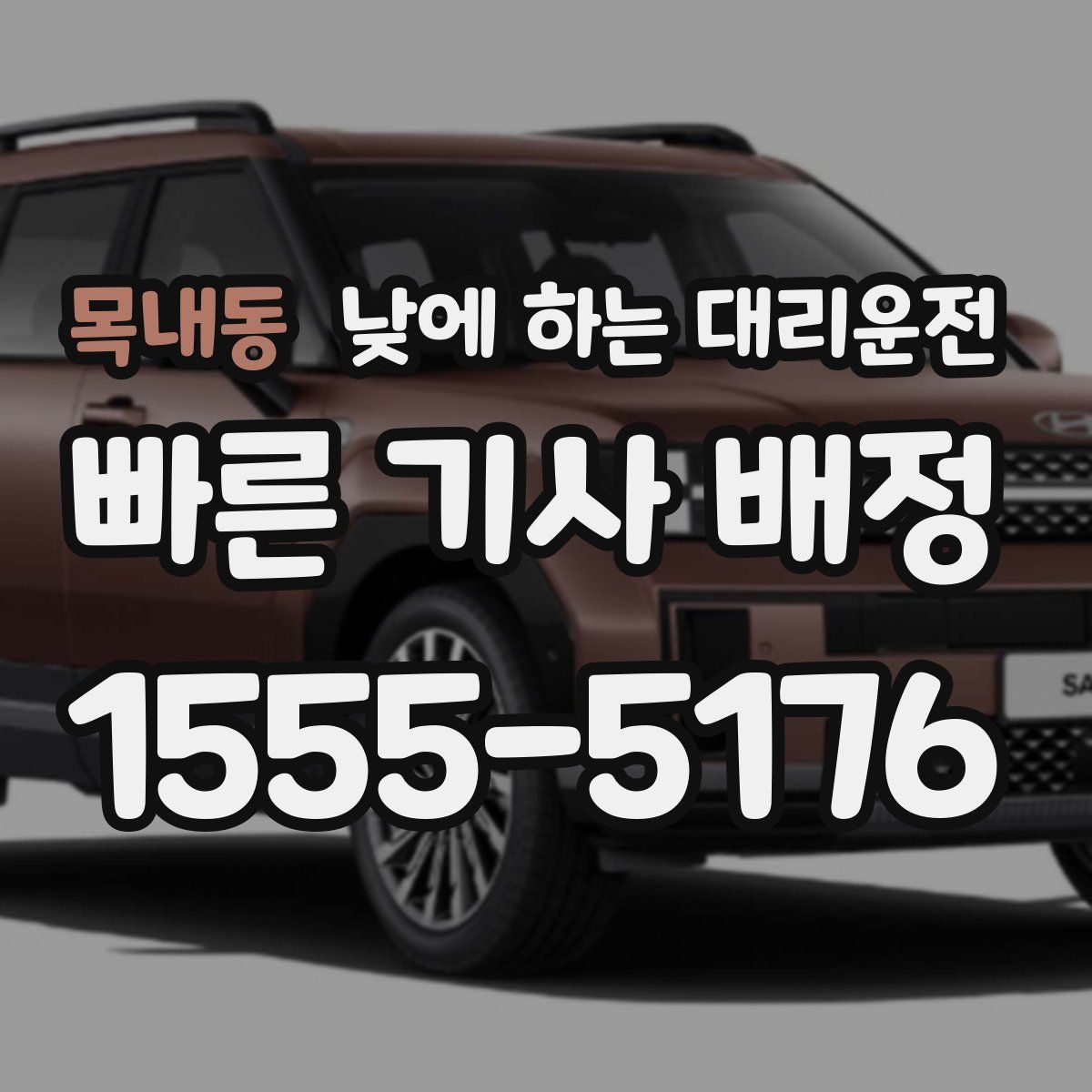 목내동 낮에 하는 대리운전