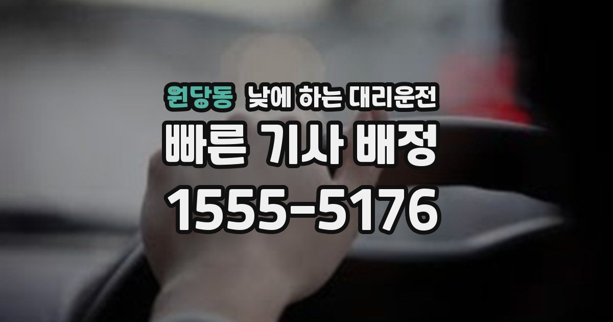 원당동 낮에 하는 대리운전