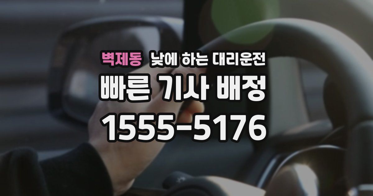 벽제동 낮에 하는 대리운전