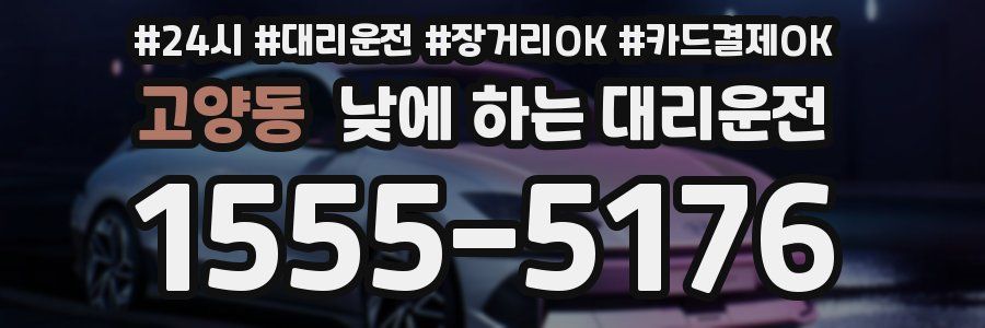 고양동 낮에 하는 대리운전