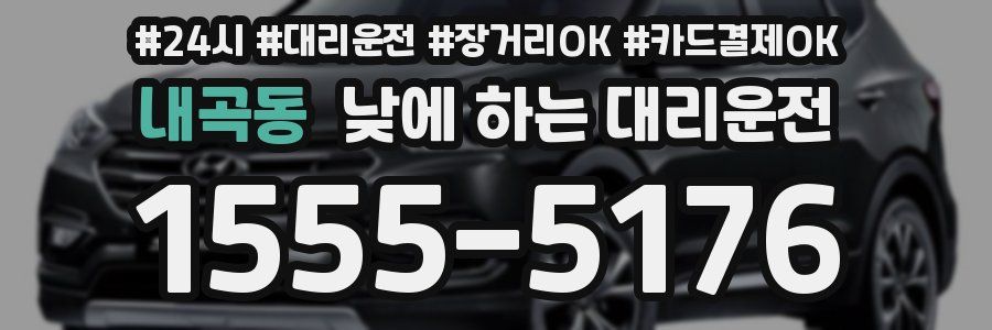 내곡동 낮에 하는 대리운전