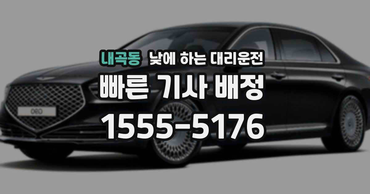 내곡동 낮에 하는 대리운전