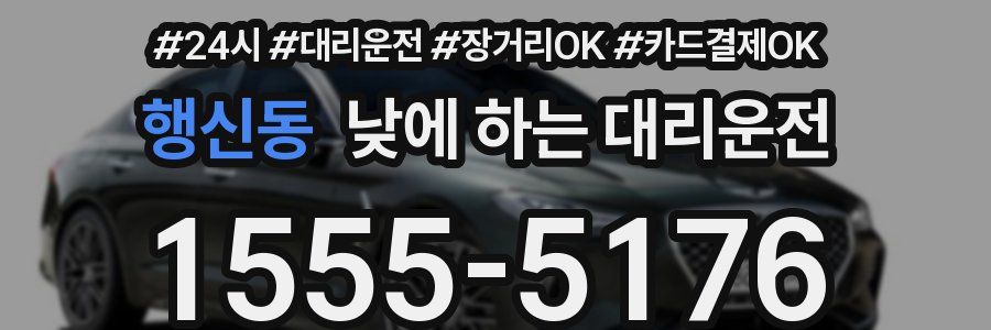 행신동 낮에 하는 대리운전