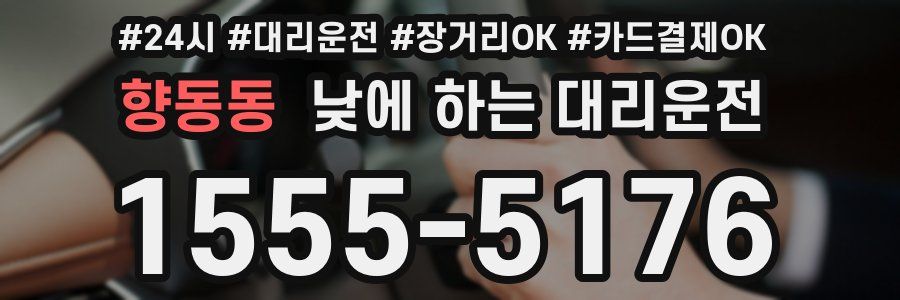 향동동 낮에 하는 대리운전