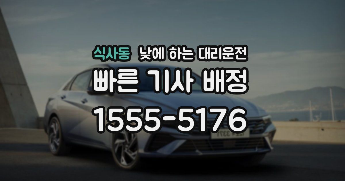 식사동 낮에 하는 대리운전