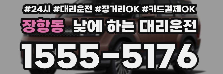 장항동 낮에 하는 대리운전