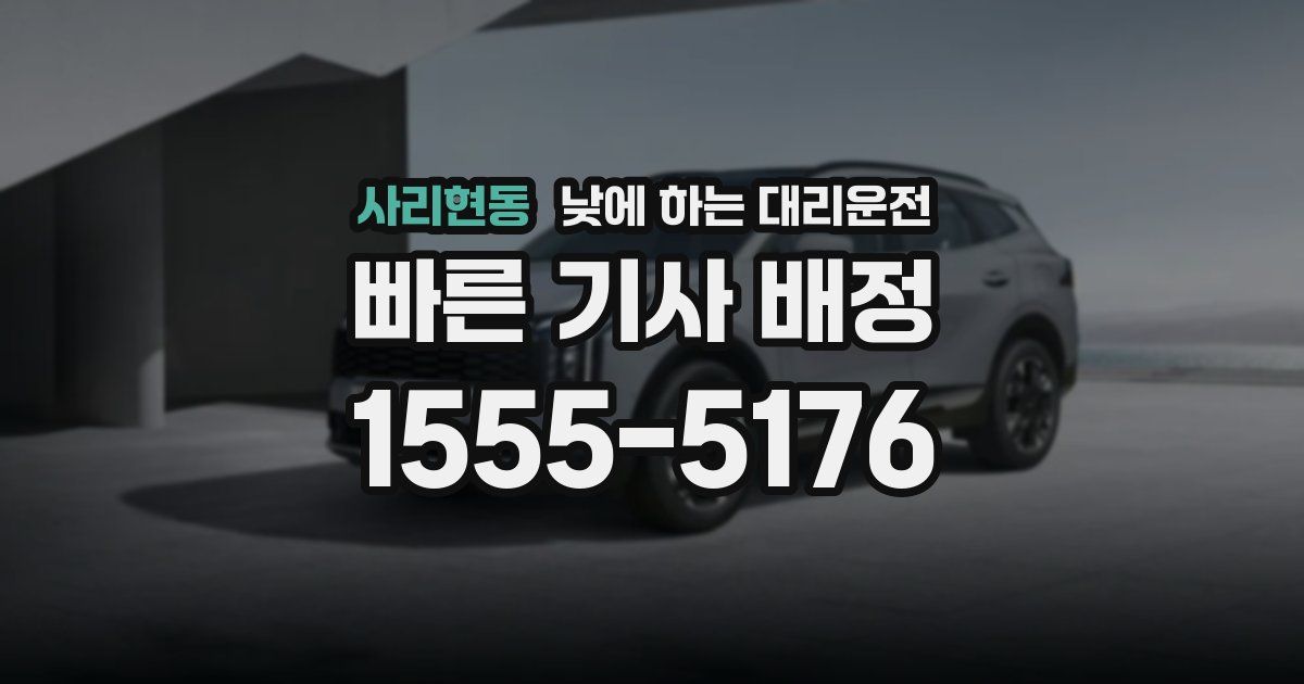 사리현동 낮에 하는 대리운전