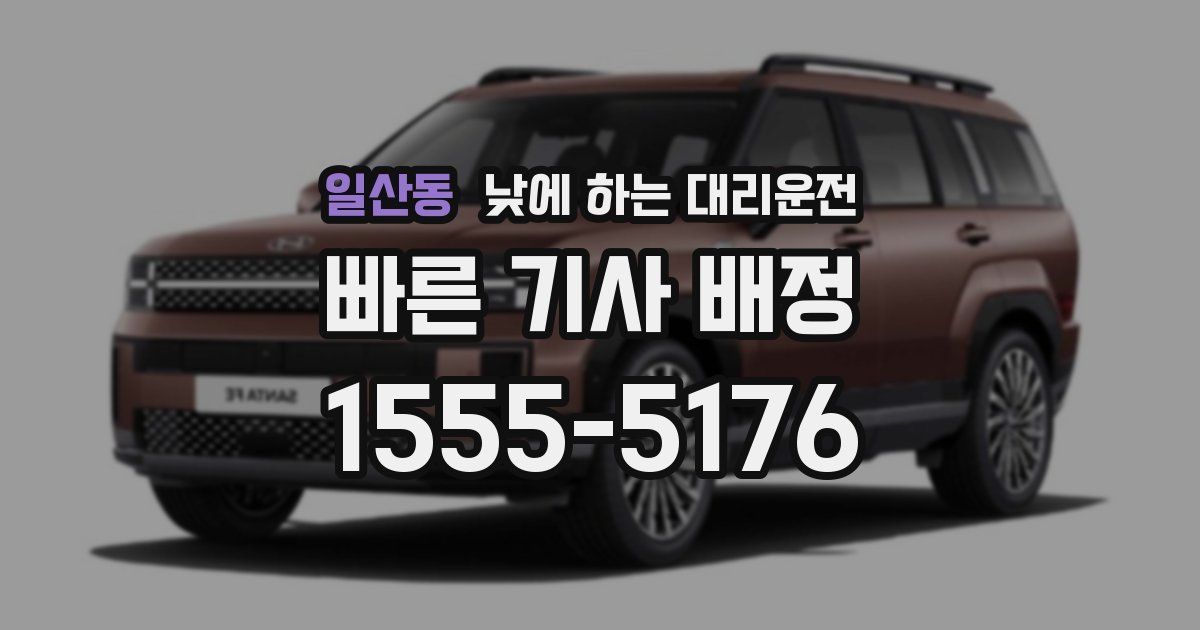 일산동 낮에 하는 대리운전