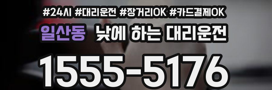 일산동 낮에 하는 대리운전