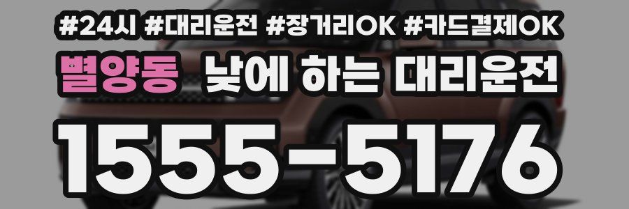 별양동 낮에 하는 대리운전