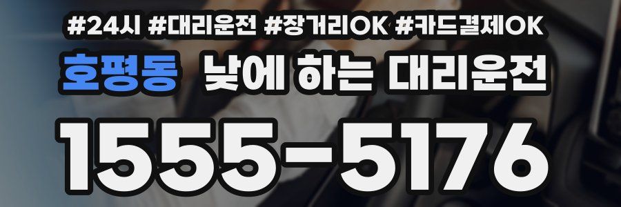 호평동 낮에 하는 대리운전