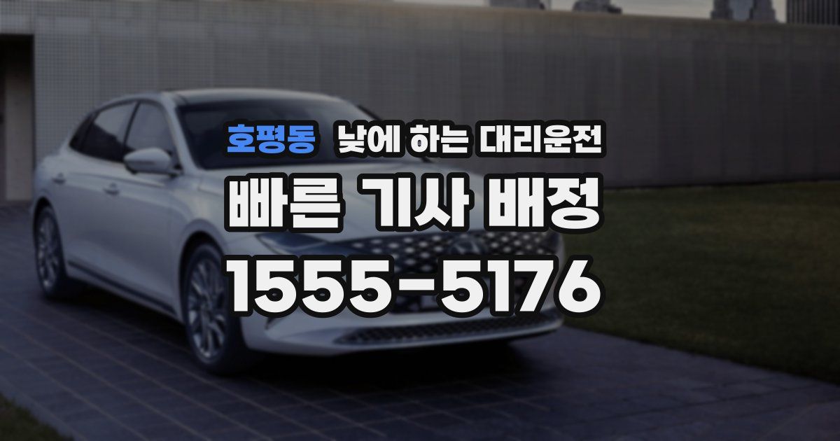 호평동 낮에 하는 대리운전