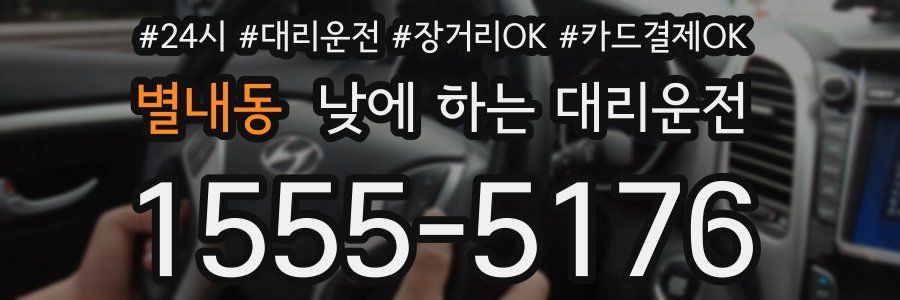 별내동 낮에 하는 대리운전