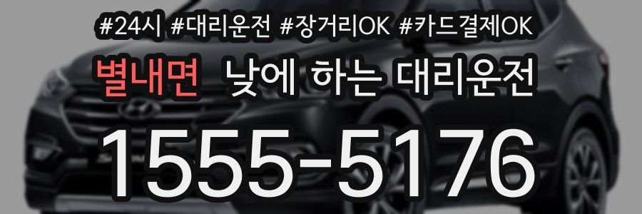 별내면 낮에 하는 대리운전