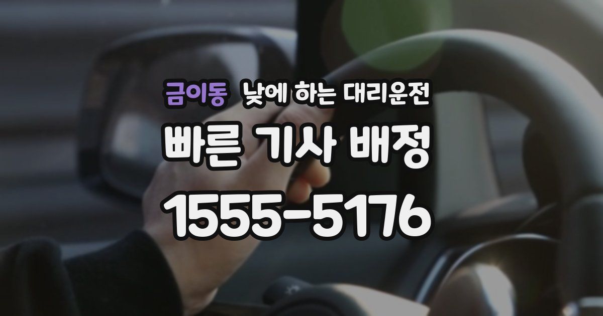 금이동 낮에 하는 대리운전