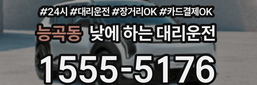 능곡동 낮에 하는 대리운전